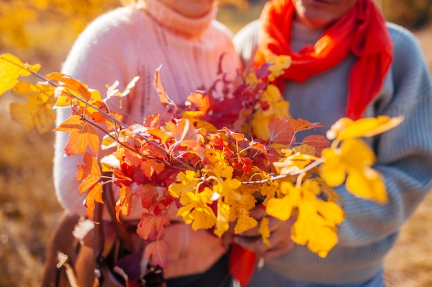 Mazzo della tenuta delle coppie invecchiato mezzo dei rami di autunno con le foglie gialle e rosse