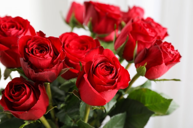 Mazzo delle rose rosse, fine in su. Sfondo sfocato sul retro