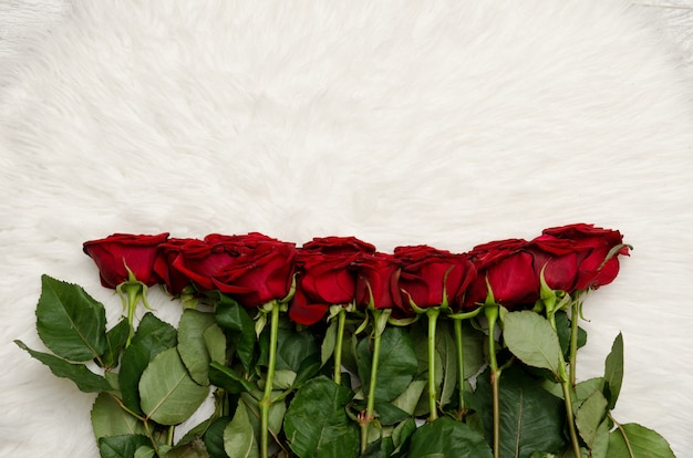 Mazzo delle rose rosse sul fondo bianco della pelliccia