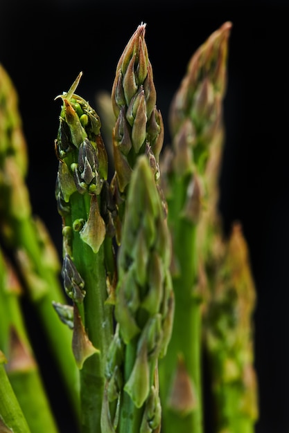 Mazzo di asparagi freschi su una base di cemento