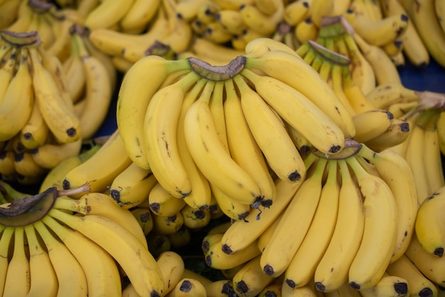 Mazzo di banane gialle sul mercato agricolo