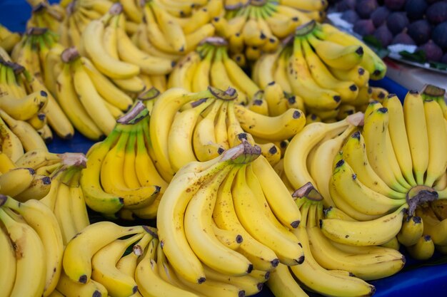 Mazzo di banane gialle sul mercato agricolo