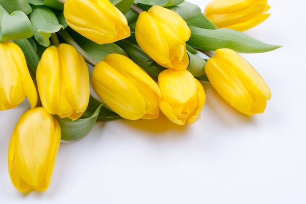 Mazzo di bei fiori gialli del tulipano su fondo bianco. Biglietto d'auguri. Copia spazio.