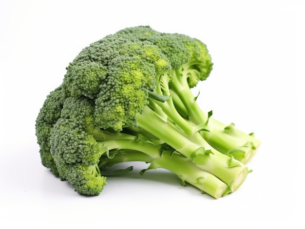 Mazzo di broccoli isolato su uno sfondo bianco