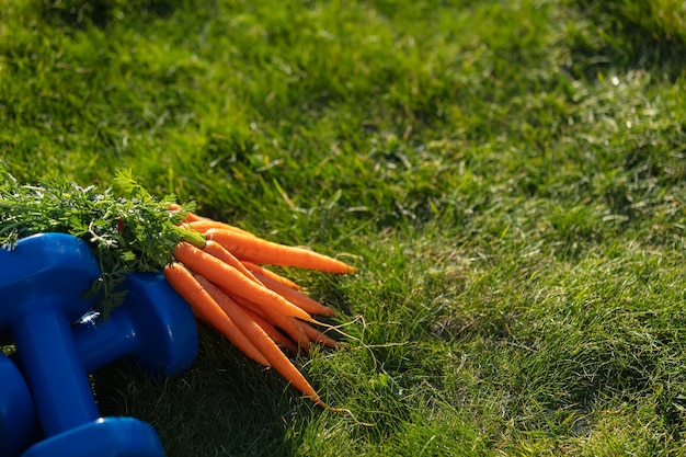 Mazzo di carote e manubri sull'erba verde del giardino