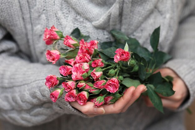 Mazzo di cespugli di rose in mani femminili su uno sfondo di maglioni lavorati a maglia