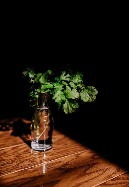 Mazzo di coriandolo fresco in un vaso d'acqua su un tavolo di legno sotto la luce solare naturale