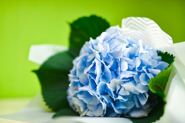 Mazzo di fiori blu su sfondo verde