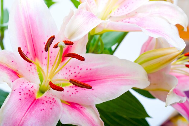 Mazzo di fiori di giglio rosa