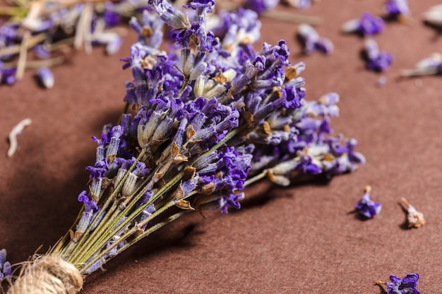 Mazzo di fiori di lavanda