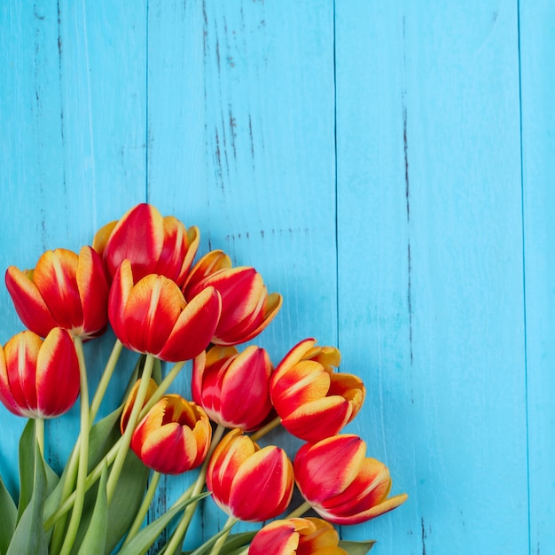 Mazzo di fiori di tulipano. Bellissimo bouquet rosso e giallo