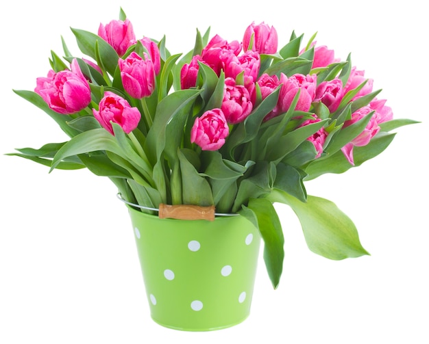 Mazzo di fiori di tulipano rosa in vaso verde isolato su sfondo bianco