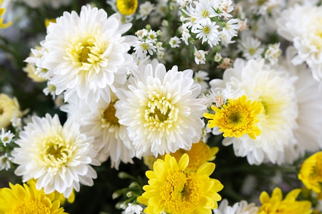 Mazzo di fiori per lo sfondo