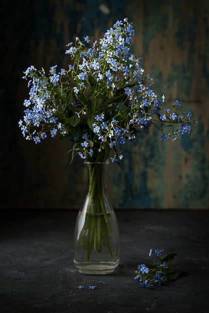 Mazzo di fiori primaverili in vaso su oscurità