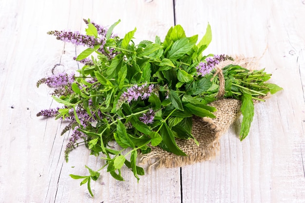 Mazzo di menta in fiore su uno sfondo di legno