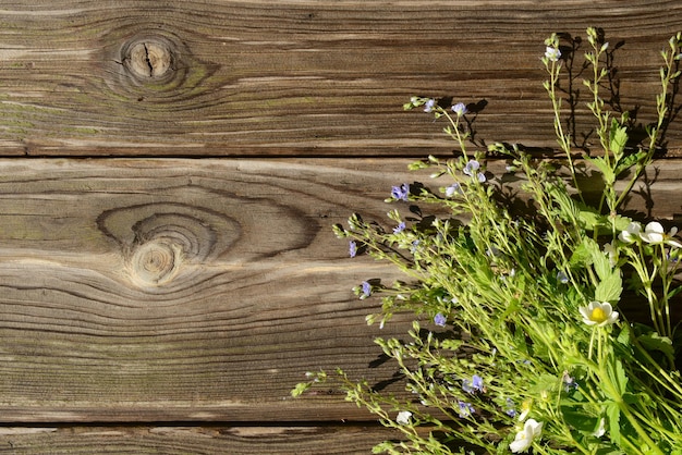 Mazzo di piante da campo ed erbe su un tavolo di legno all'aperto vista dall'alto