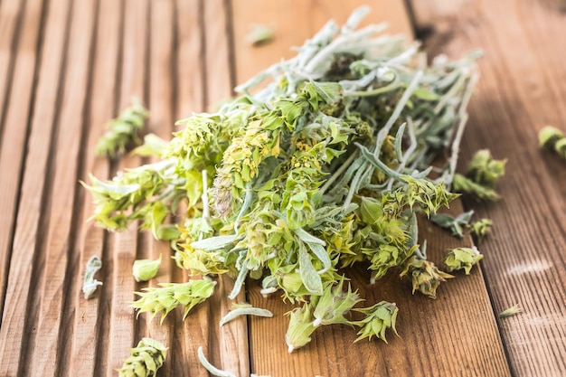Mazzo di ramoscelli di siderite di ironwort verde essiccato anche noto come tè di montagna tradizionale tisana in Grecia