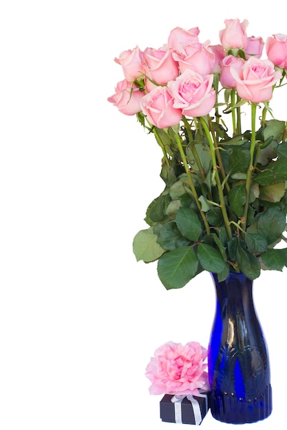 Mazzo di rose rosa fresche in vaso blu con confezione regalo isolato su sfondo bianco