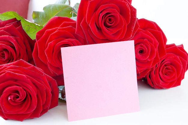 mazzo di rose rosse e rosa vuoto vuoto isolato su sfondo bianco