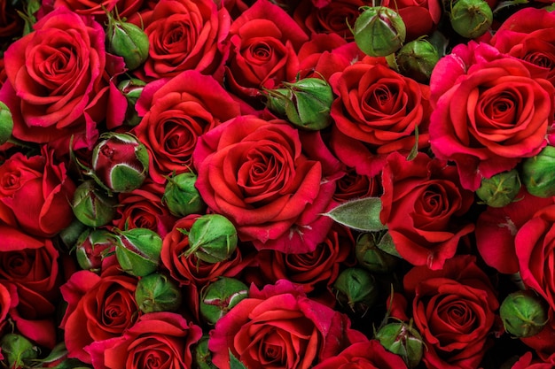 Mazzo di sfondo floreale di rose rosse fresche