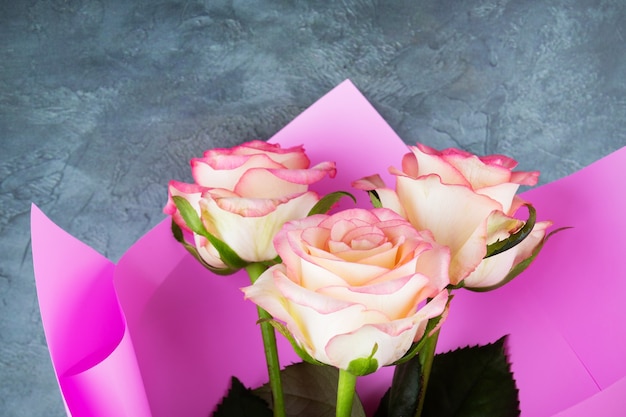Mazzo di tre rose in primo piano rosa dell'involucro su fondo grigio