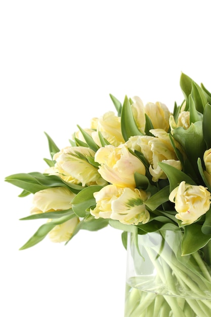 Mazzo di tulipani bianchi