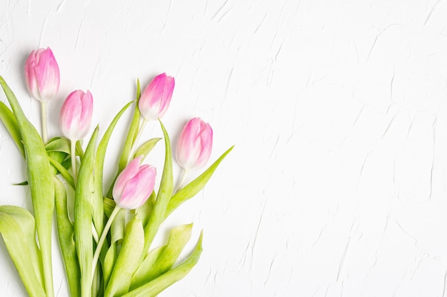 Mazzo di tulipani rosa delicati su fondo bianco dell'intonaco