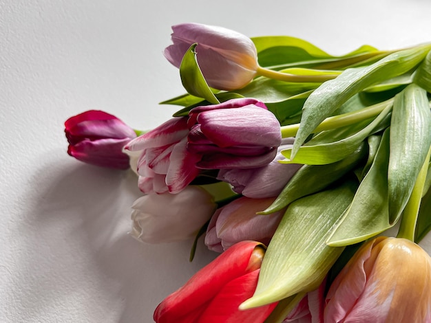 Mazzo di tulipani su bianco