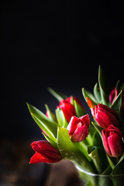 Mazzo e foglie verdi rossi dei fiori dei tulipani del primo piano sul nero