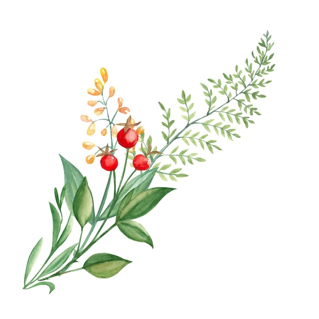 Mazzo estivo dell'acquerello di rami verdi fiori di campo gialli e bacche rosse botaniche disegnate a mano