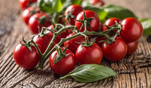 Mazzo fresco di pomodori maturi con foglie di basilico sul vecchio tavolo di quercia.