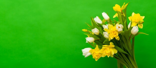 Mazzo giallo bianco del narciso del tulipano su verde