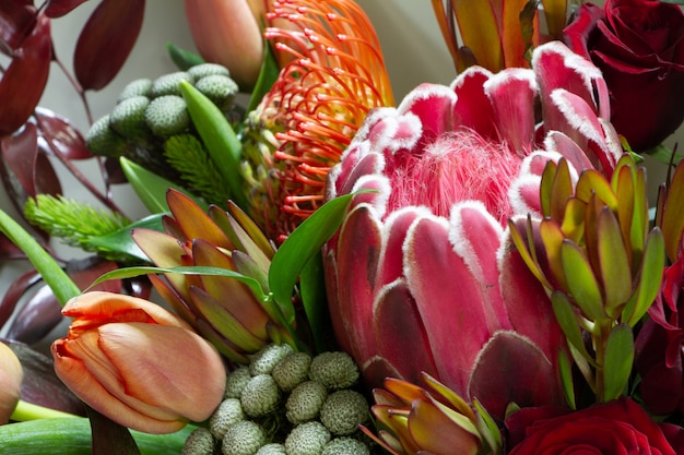 Mazzo magnifico del primo piano del dettaglio del tulipano, leucospermum, leucadendron, protea, rosa, fuoco selettivo