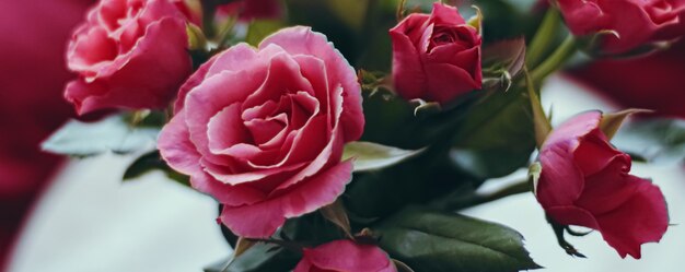 Mazzo romantico del primo piano delle rose