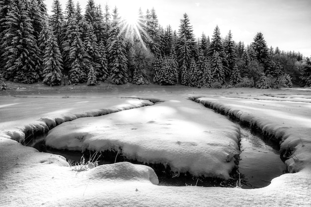 Meandri del flusso del ruscello di montagna nel paese innevato invernale Liptovska Luzna Slovacchia