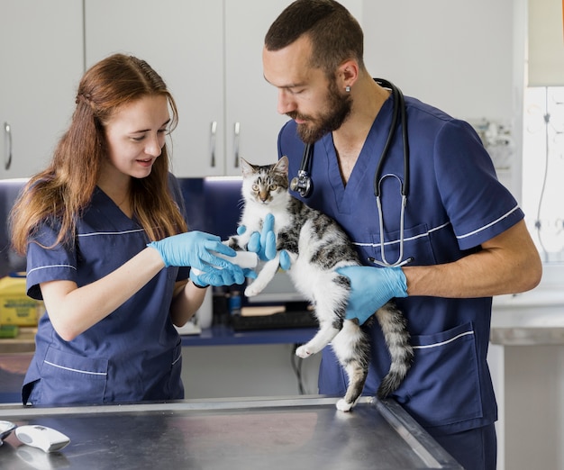 Medici attenti del colpo medio che aiutano gatto ferito