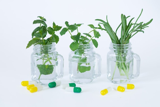 Medicina alternativa. Capsule e pillole a base di erbe accanto a foglie di menta fresca e rosmarino in barattoli di vetro