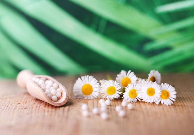 Medicina alternativa rimedio a base di erbe Fiori di camomilla e farmaci omeopatici