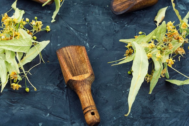 Medicina di erbe di fiori di tiglio essiccati