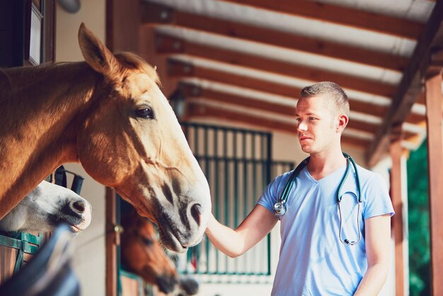 Medicina veterinaria in azienda