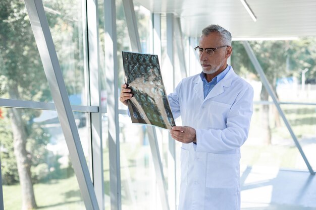 Medico dai capelli grigi attento che esamina l'immagine dei raggi x