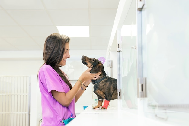 Medico veterinario che abbraccia un bellissimo cane.