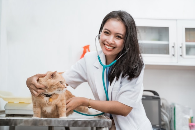 Medico veterinario con lo stetoscopio che controlla il gatto sul tavolo alla clinica veterinaria