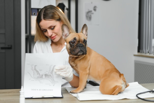 Medico veterinario felice con un cane alla clinica veterinaria