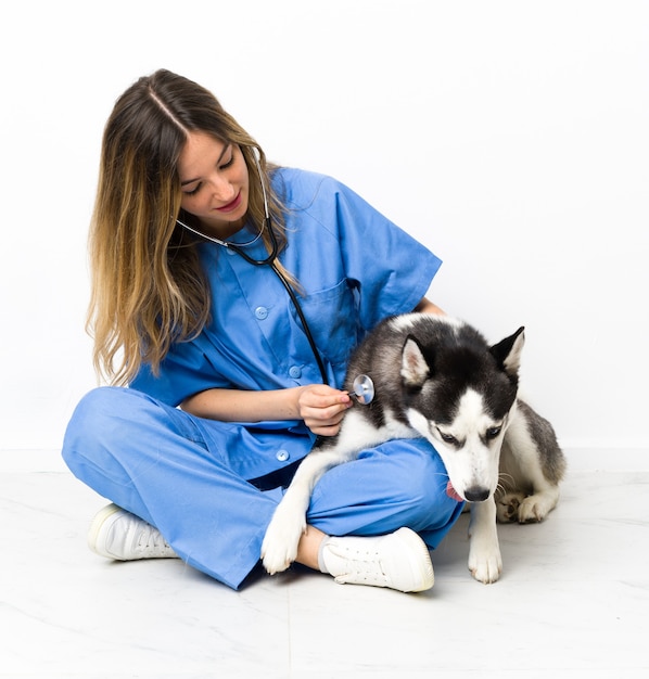 Medico veterinario presso la clinica veterinaria con il cane Husky siberiano