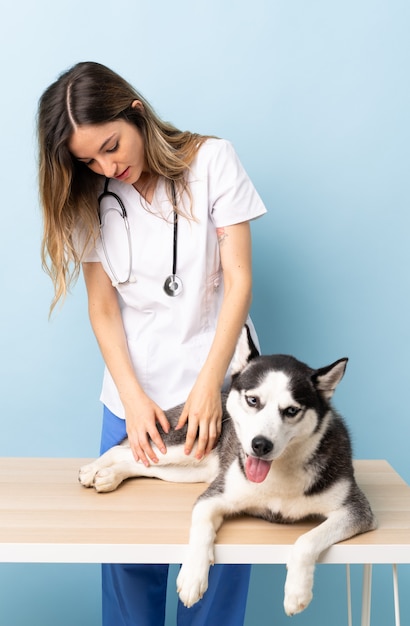 Medico veterinario presso la clinica veterinaria con il cane Husky siberiano