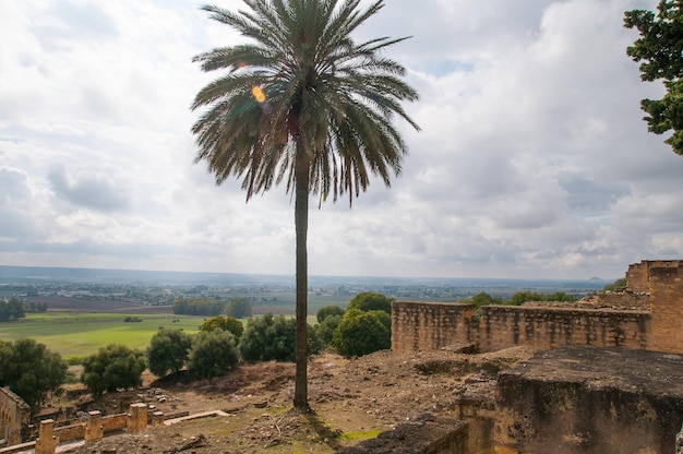 Medina Azahara