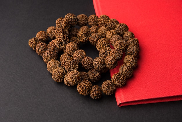 Meditazione con rudraksha mala o rosario