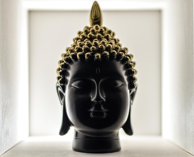 Meditazione del Buddha