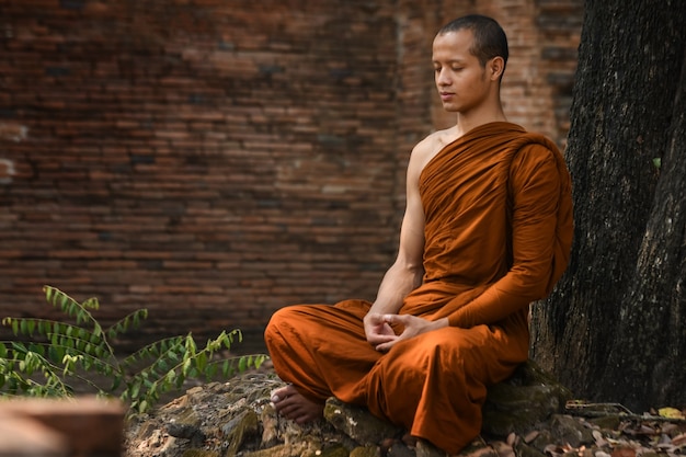 Meditazione Vipassana È l'attività dei monaci che deve essere svolta nel Buddismo.